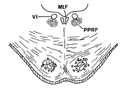 PPRF cross-section