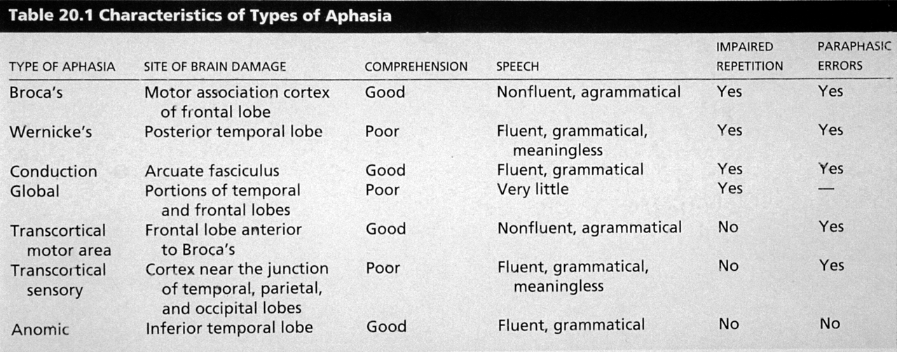 Table of aphasia types