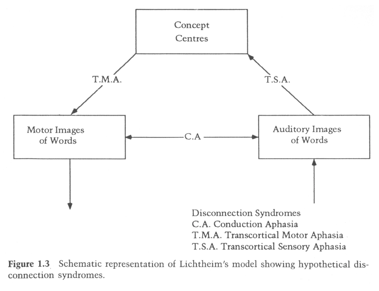 Lichtheim schematic