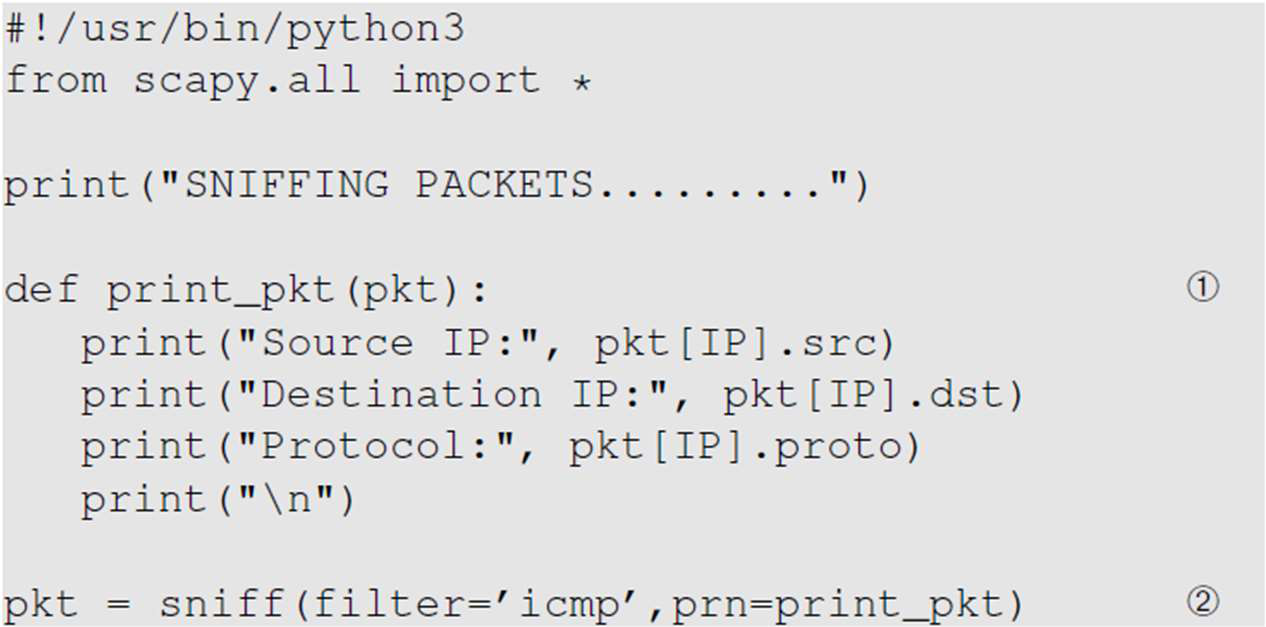 Python Scapy sniff example