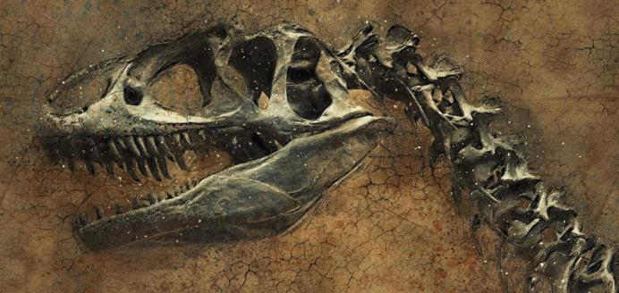 Cráneo fósil de dinosaurio