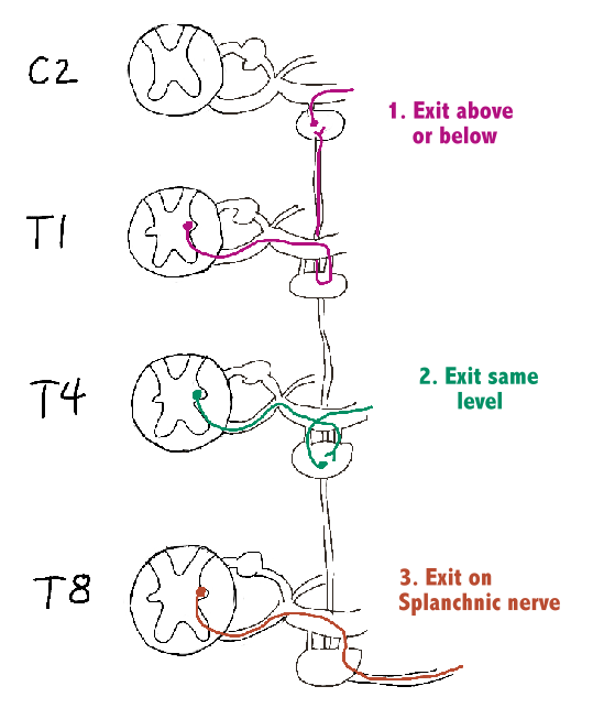 Sympathetic continuations diagram
