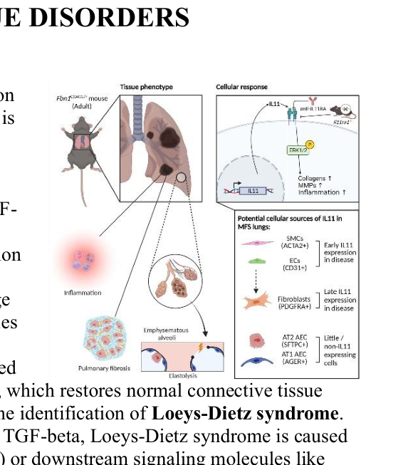 Cellular pathology diagram