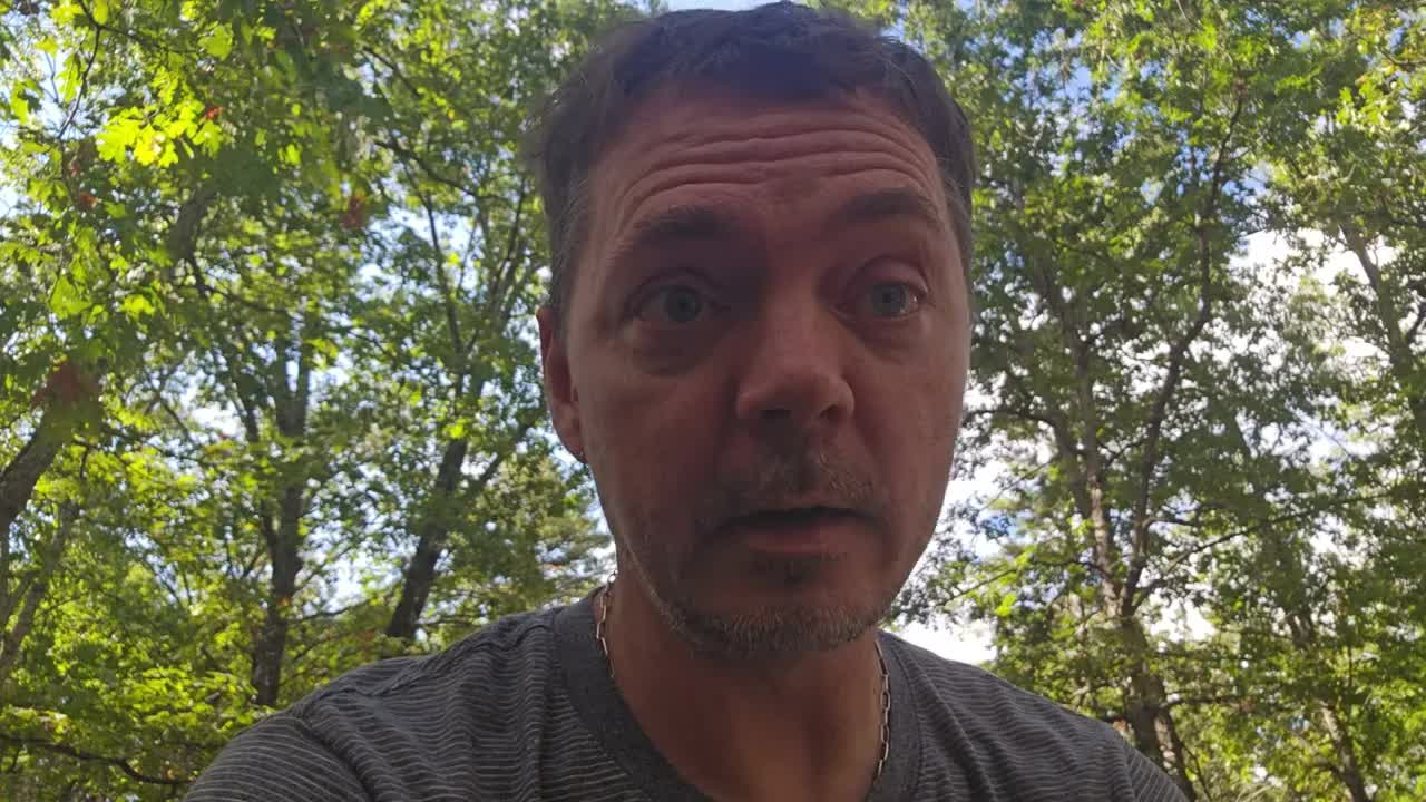 Reflecting on YouTube Channel Authenticity and Societal Collapse