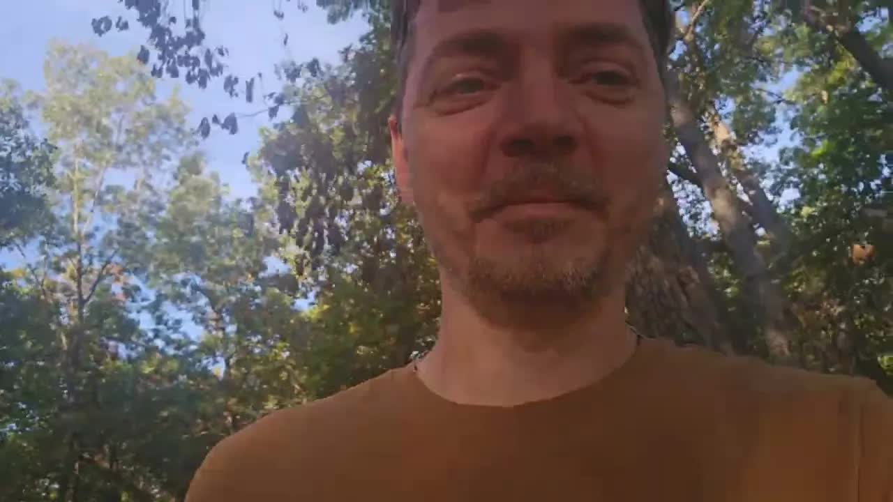 Reflecting on Trees, Cities, and RV Journey Planning