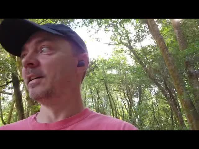 Oregon Coast Arrival and RV Insulation Work