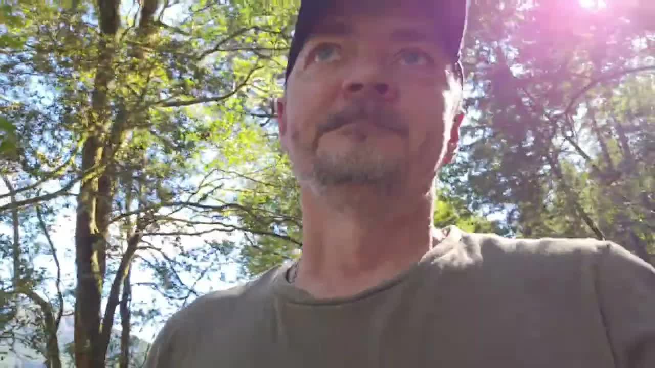 Processing Financial Pressure While Hiking Oregon Redwoods