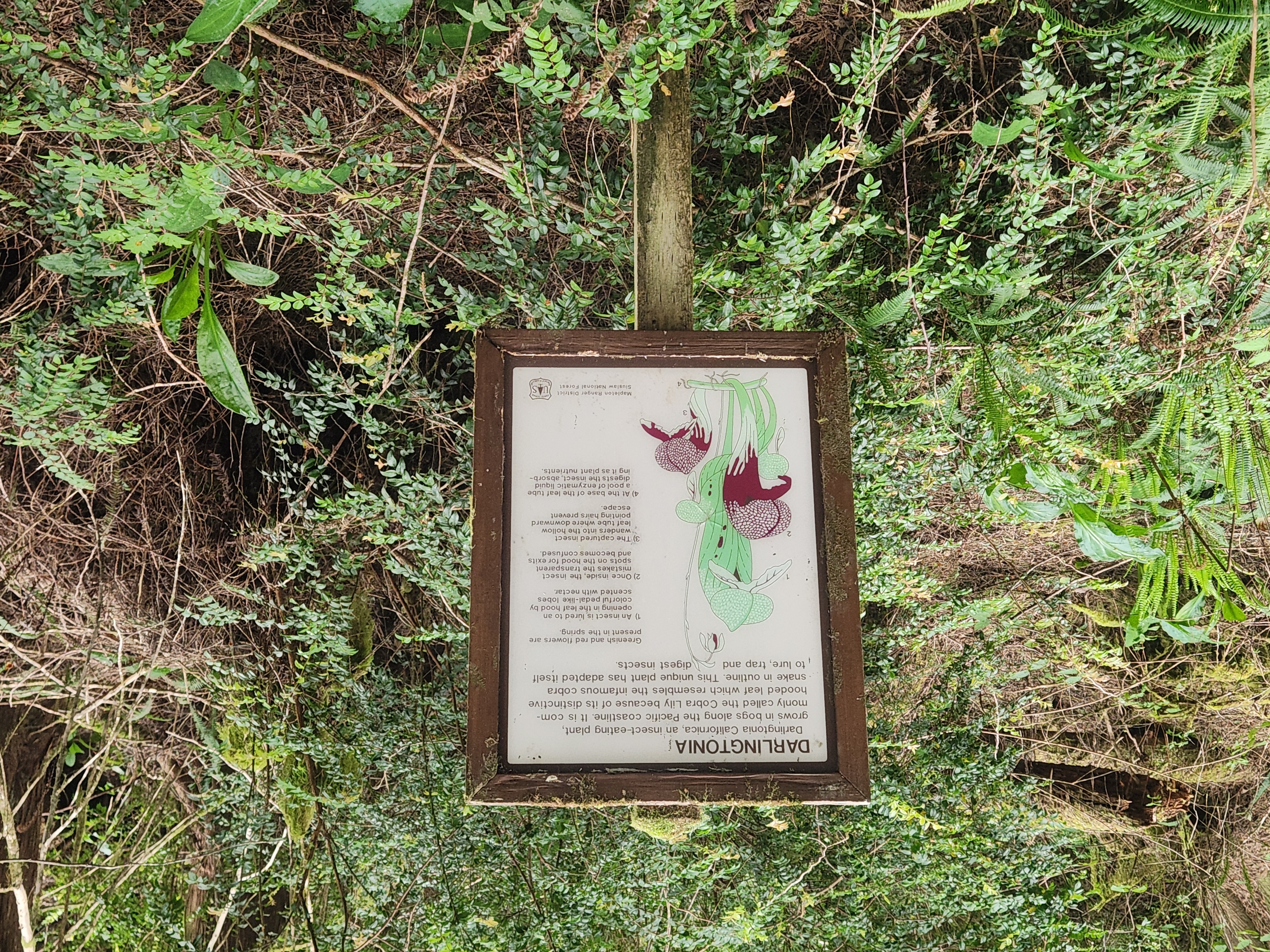 Photo 48
