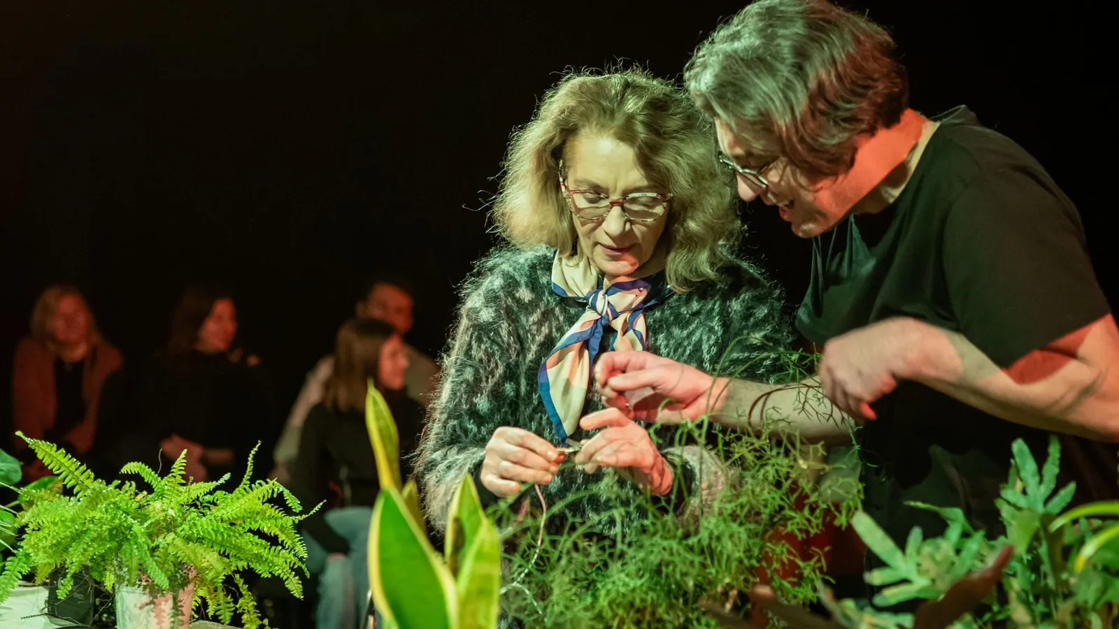 OGRÓD TEATRALNY II - podsumowanie projektu