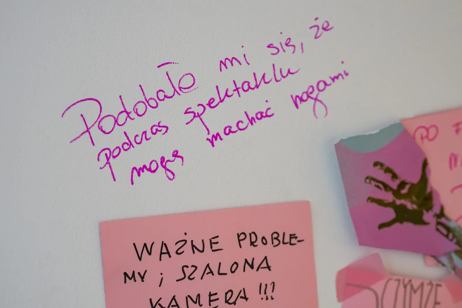 fot. Piotr Hukało 