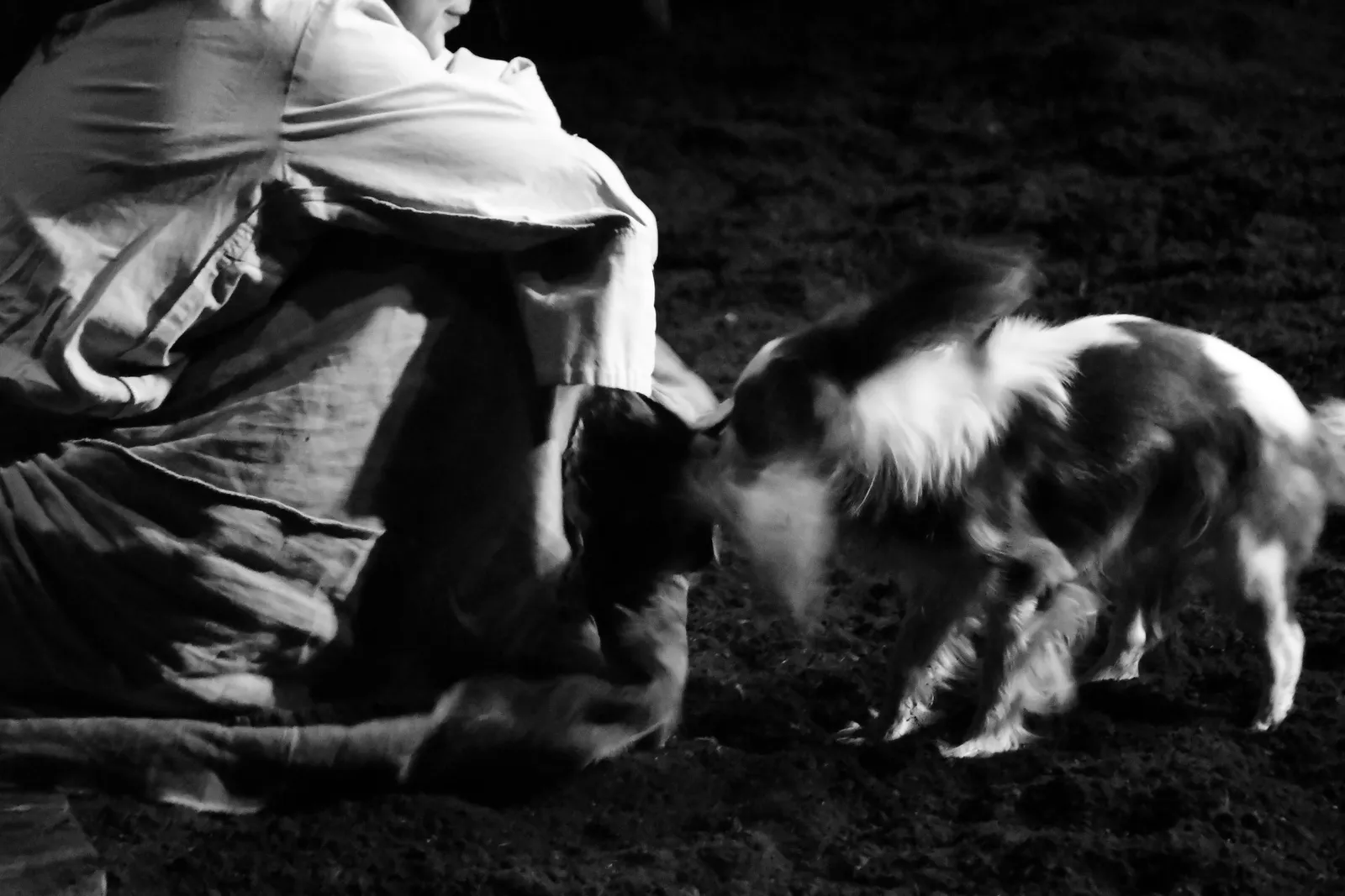 DSC_2922_DSC_2922_1e108a6a0f