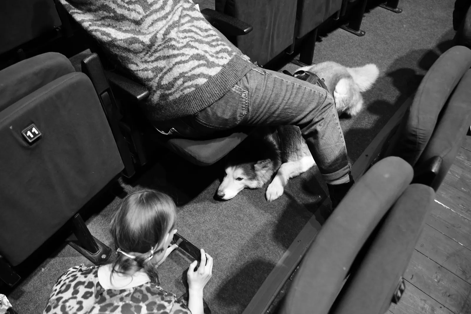DSC_3025_DSC_3025_4873fcfdce