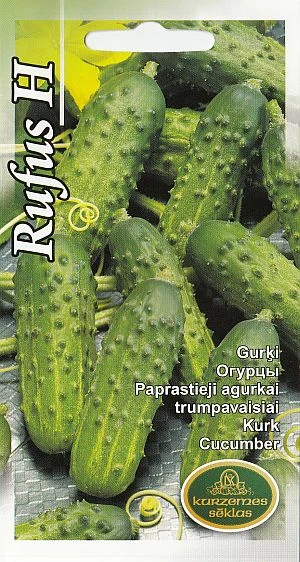 KURZEMES SEKLAS Sēklas Kurzemes sēklas, gurķi