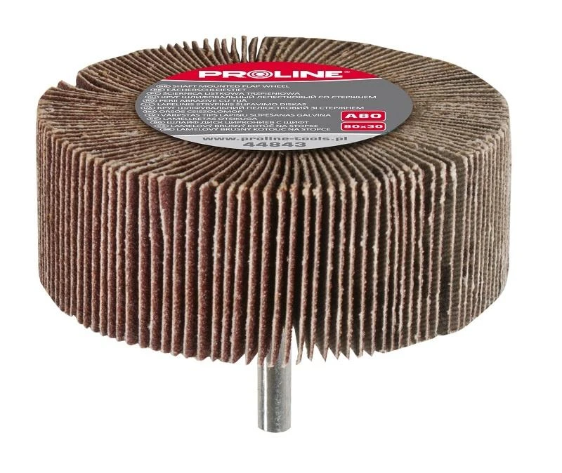 PROLINE Slīpēšanas disks 80x30mm ar asi