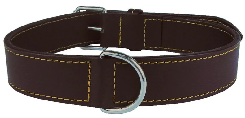 ZOLUX Kaklasiksna suņiem Zolux Leather Lined
