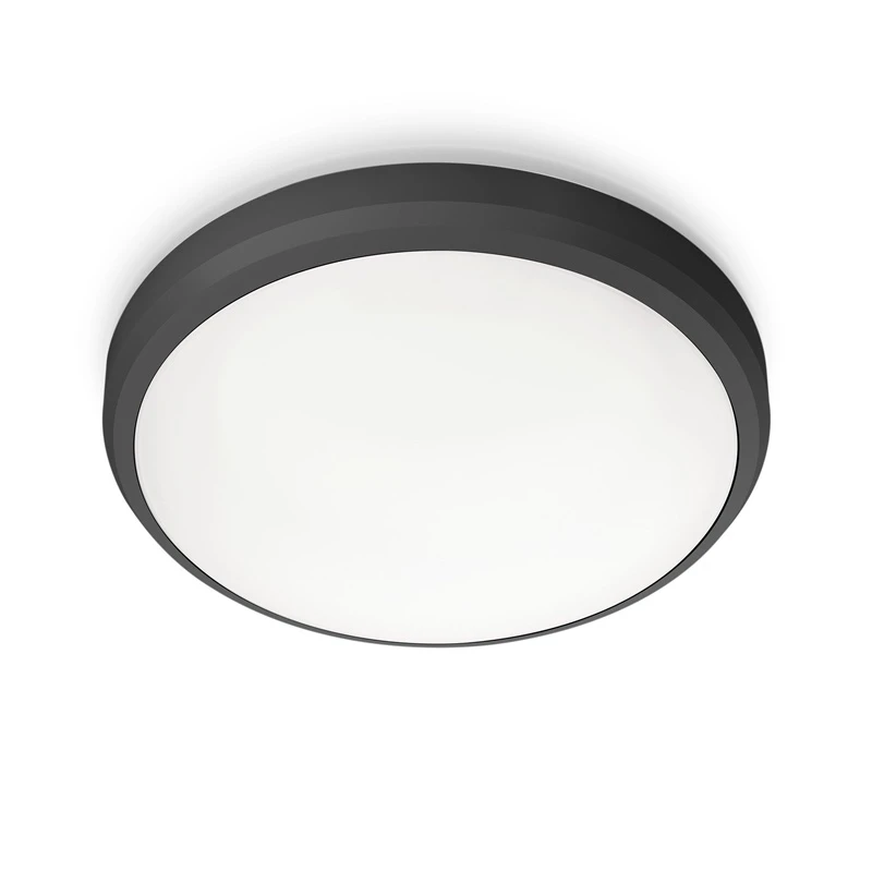 PHILIPS Āra griestu lampa Philips Doris