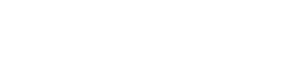 Vante Store