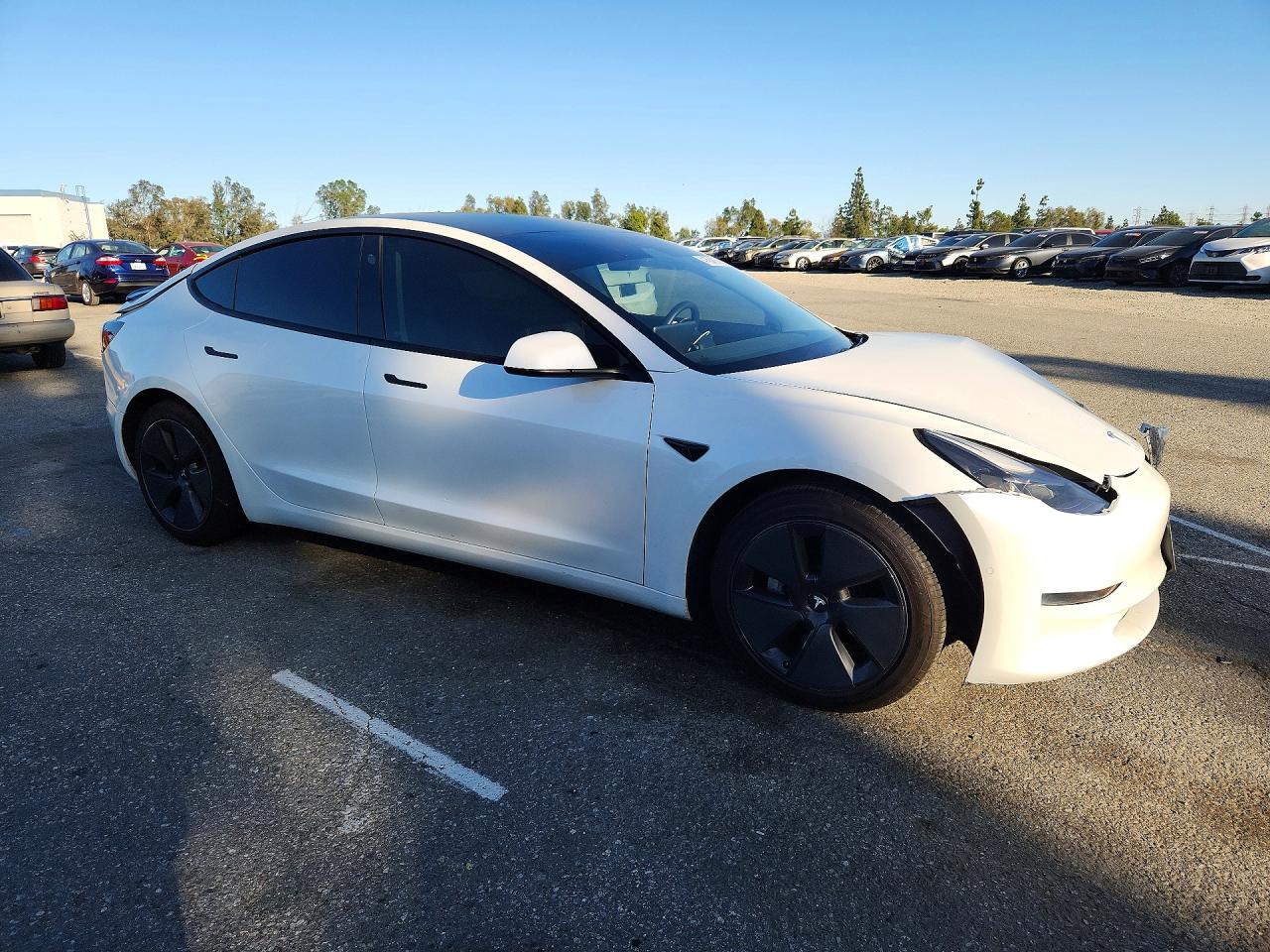 2021 TESLA MODEL 3 photo 7
