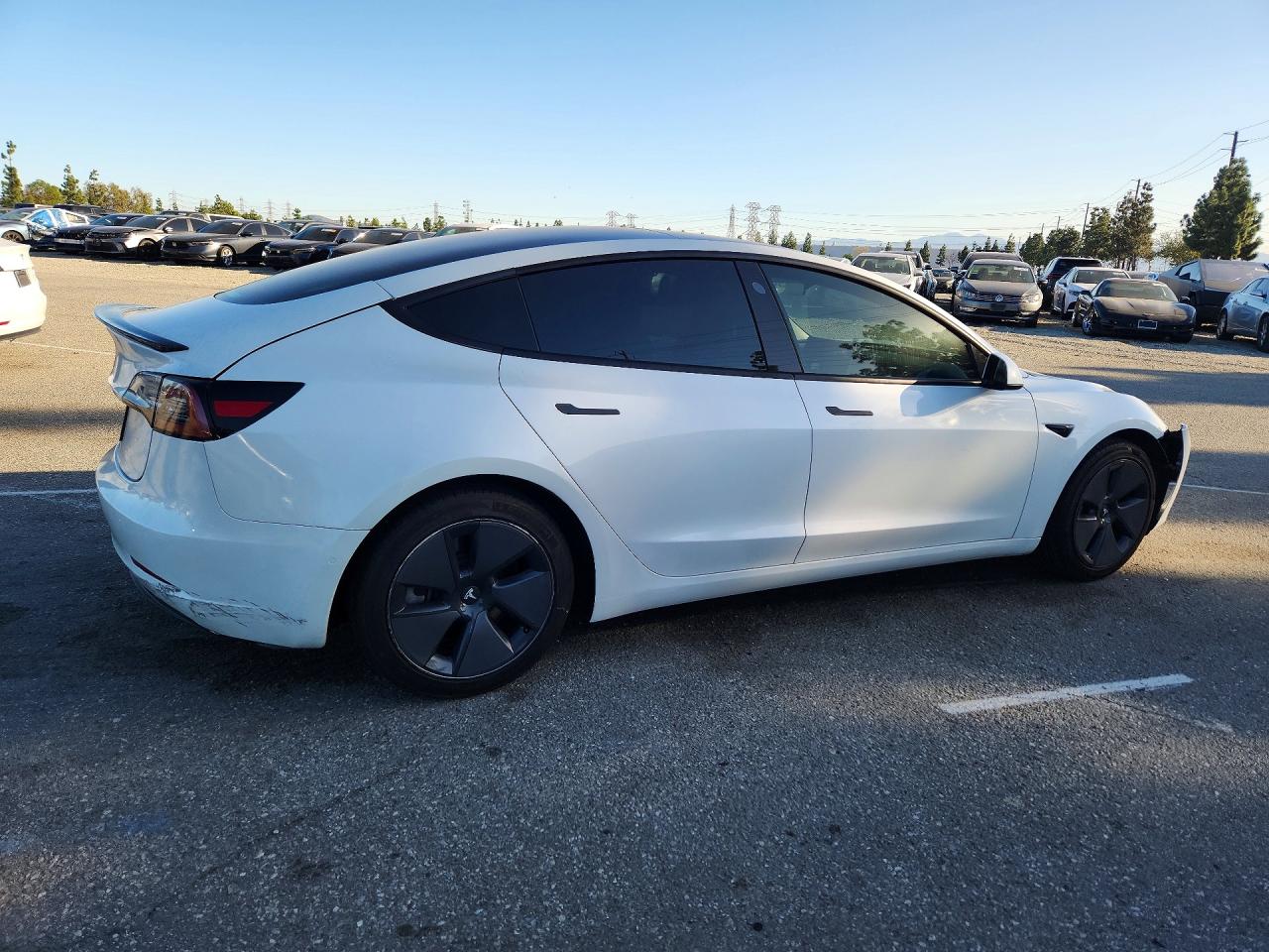 2021 TESLA MODEL 3 photo 5
