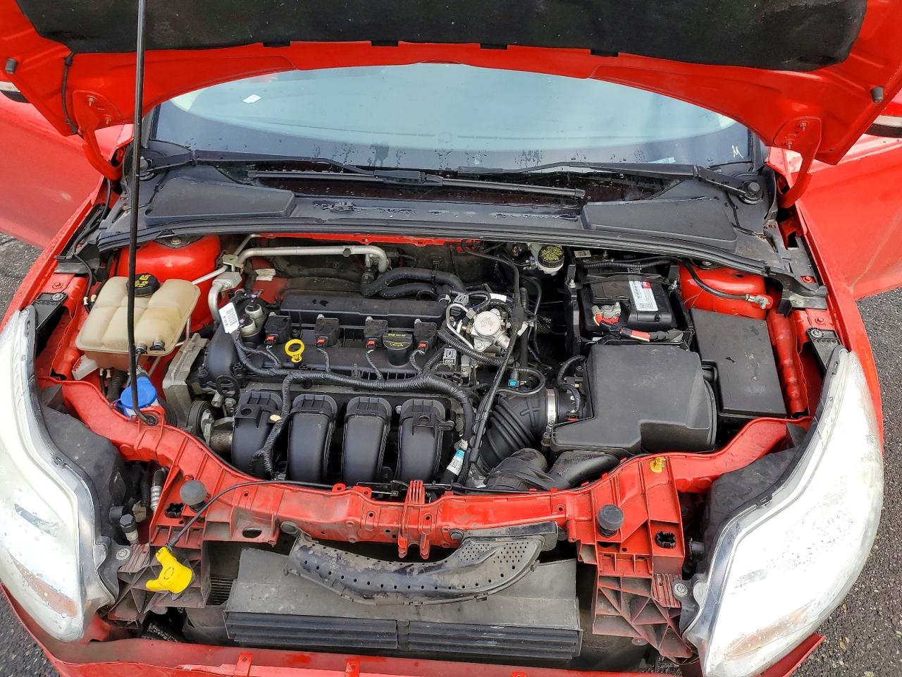 2014 FORD FOCUS SE photo 11