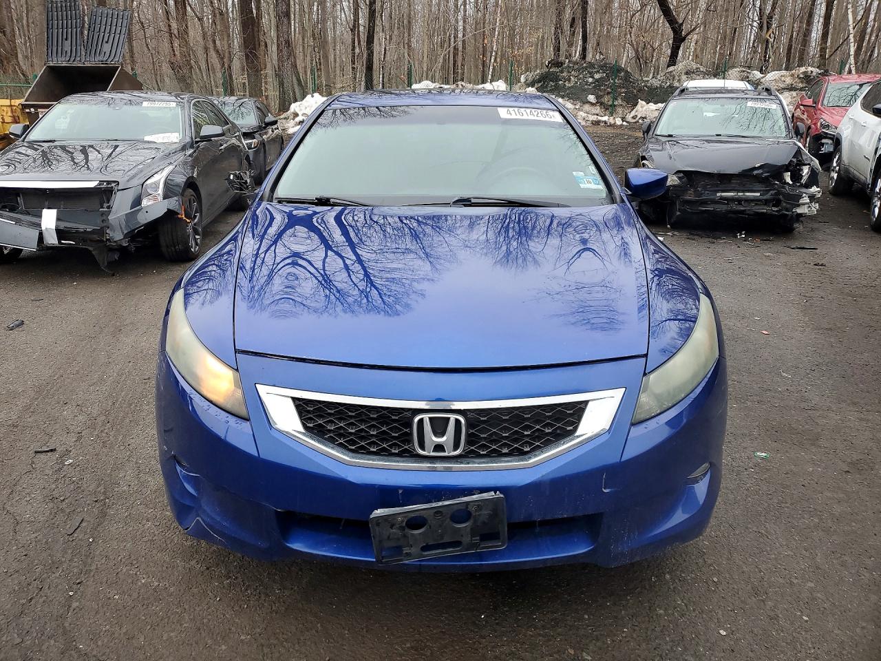 2010 HONDA ACCORD EXL photo 5