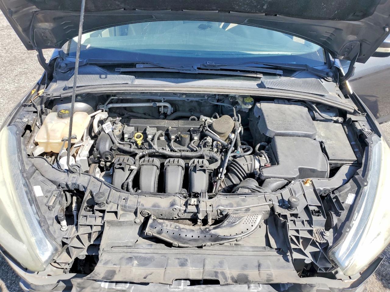 2015 FORD FOCUS SE photo 11