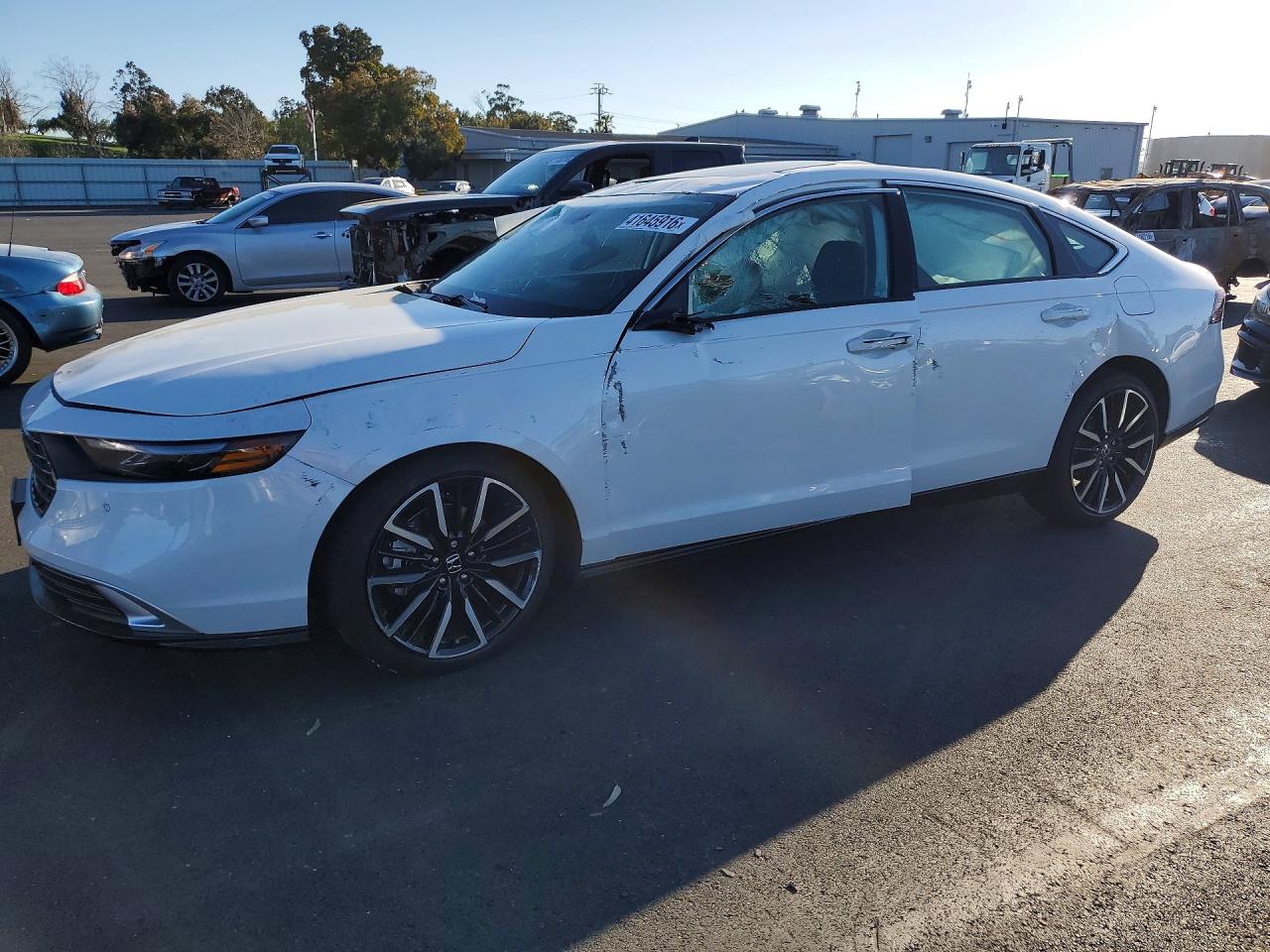 2025 HONDA ACCORD