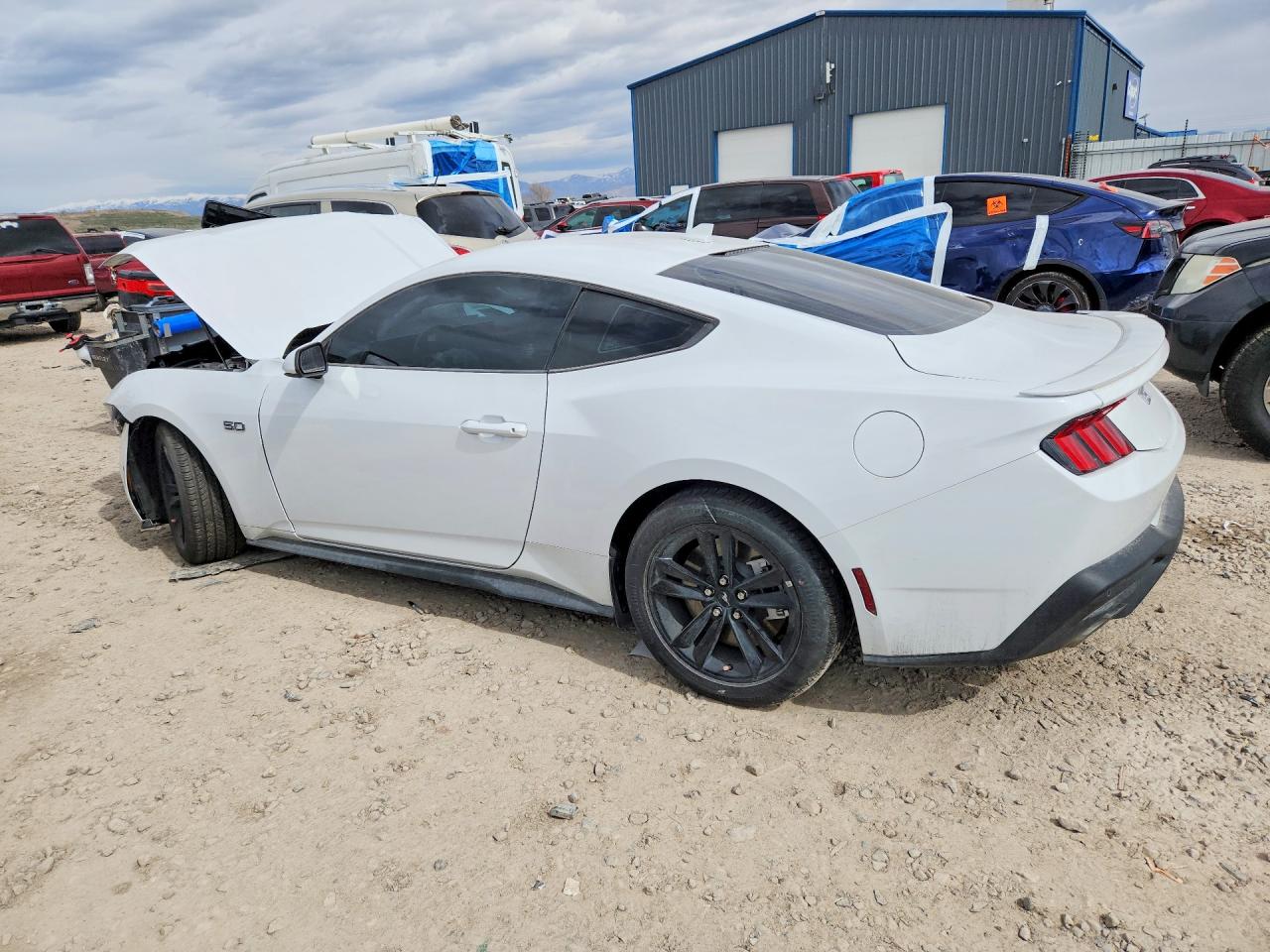 2024 FORD MUSTANG GT photo 2
