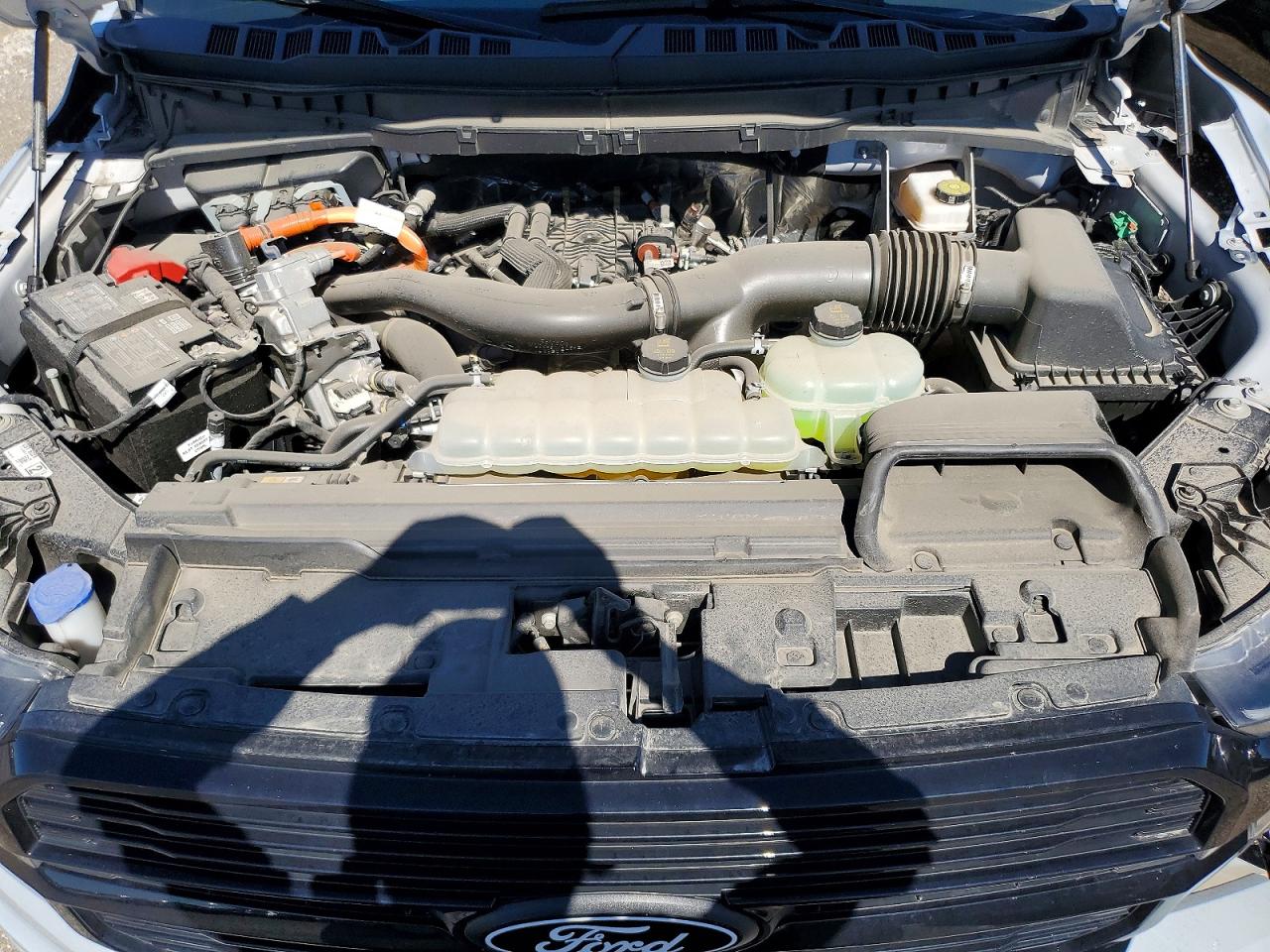 2025 FORD F150 PLATINUM photo 11