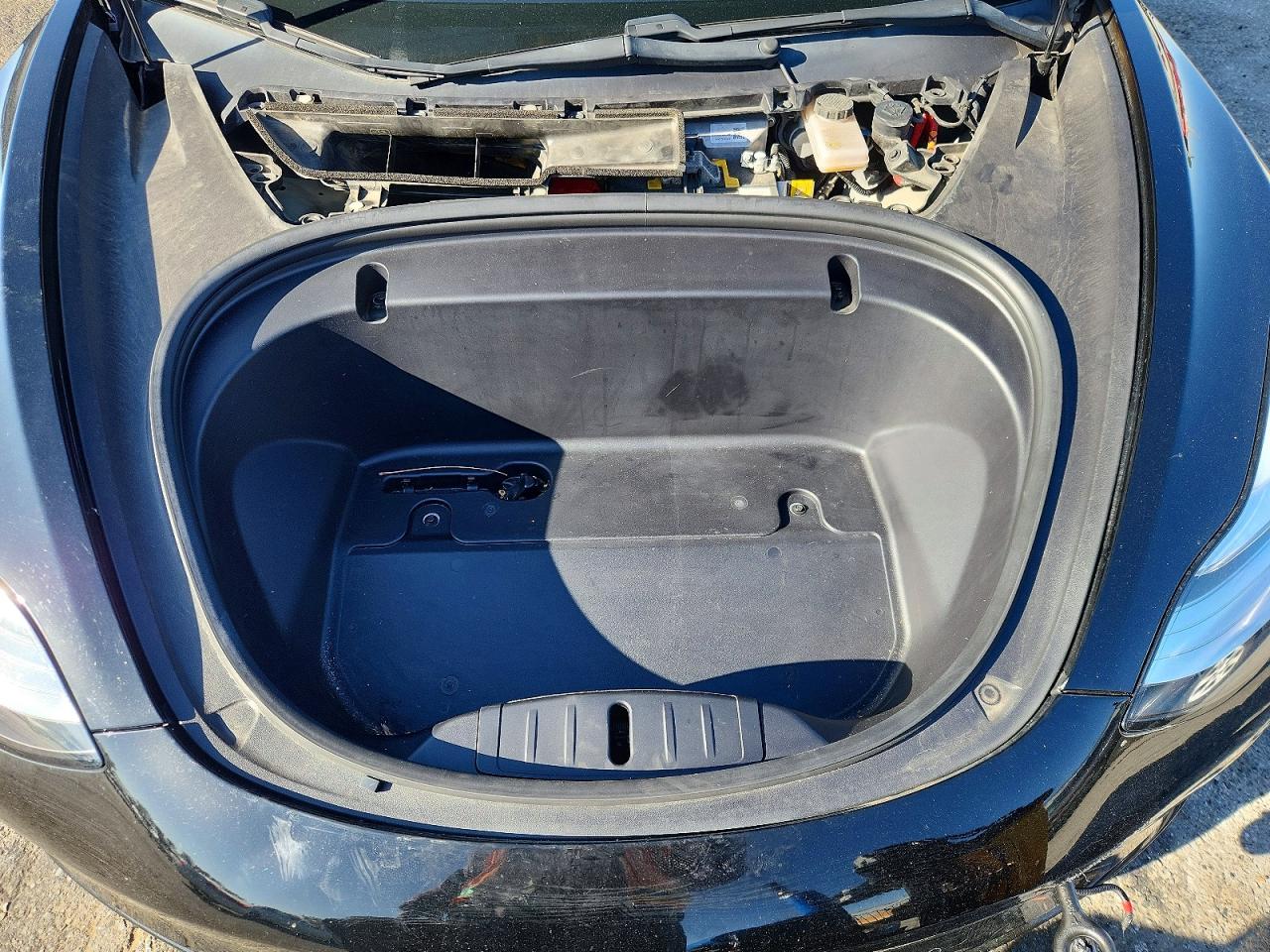 2020 TESLA MODEL 3 photo 11
