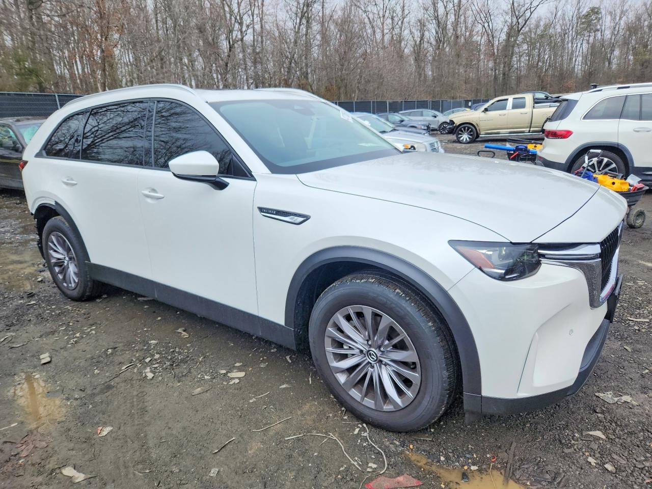 2025 MAZDA CX-90 PREFERRED photo 7