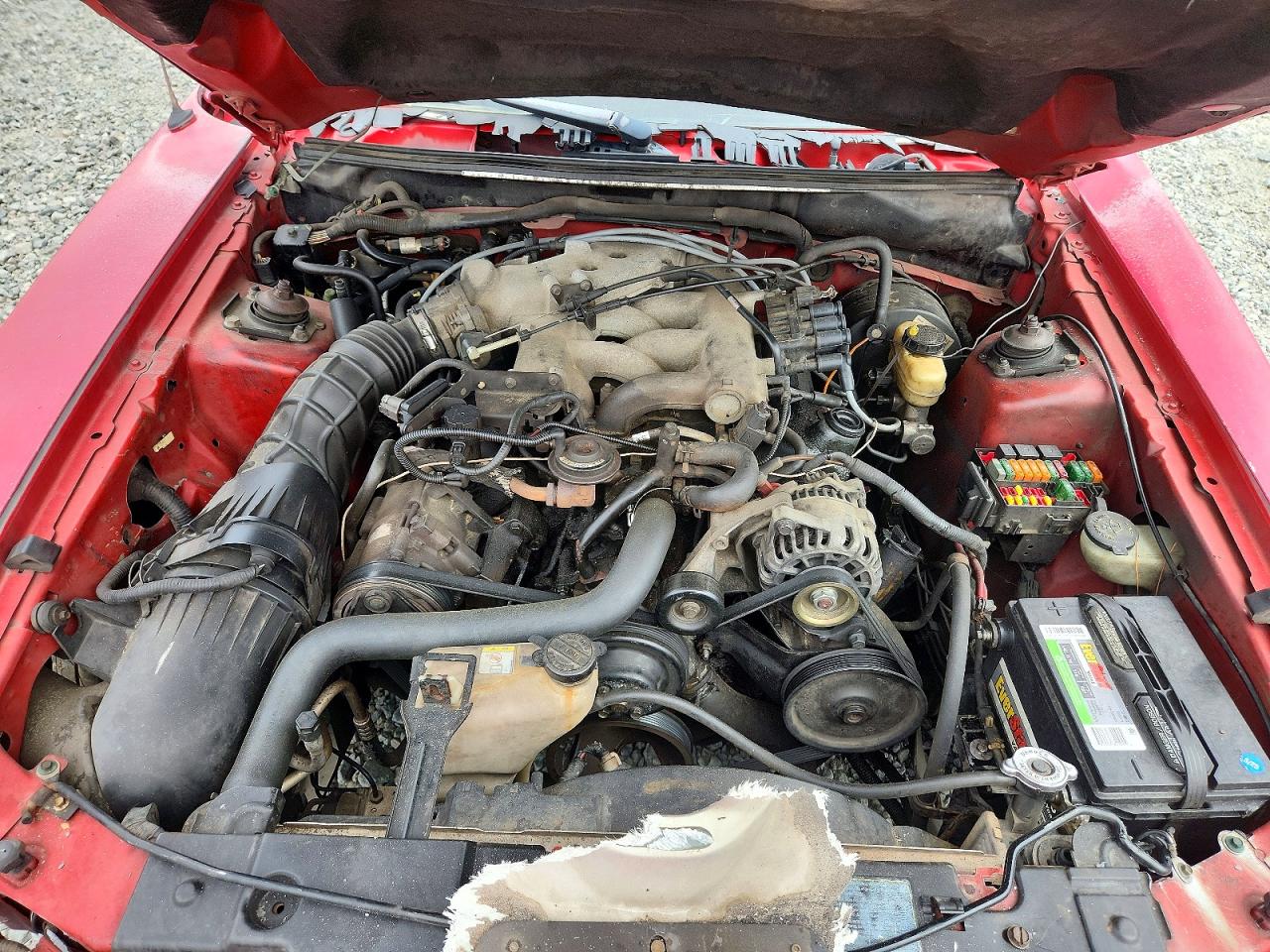 2003 FORD MUSTANG photo 11