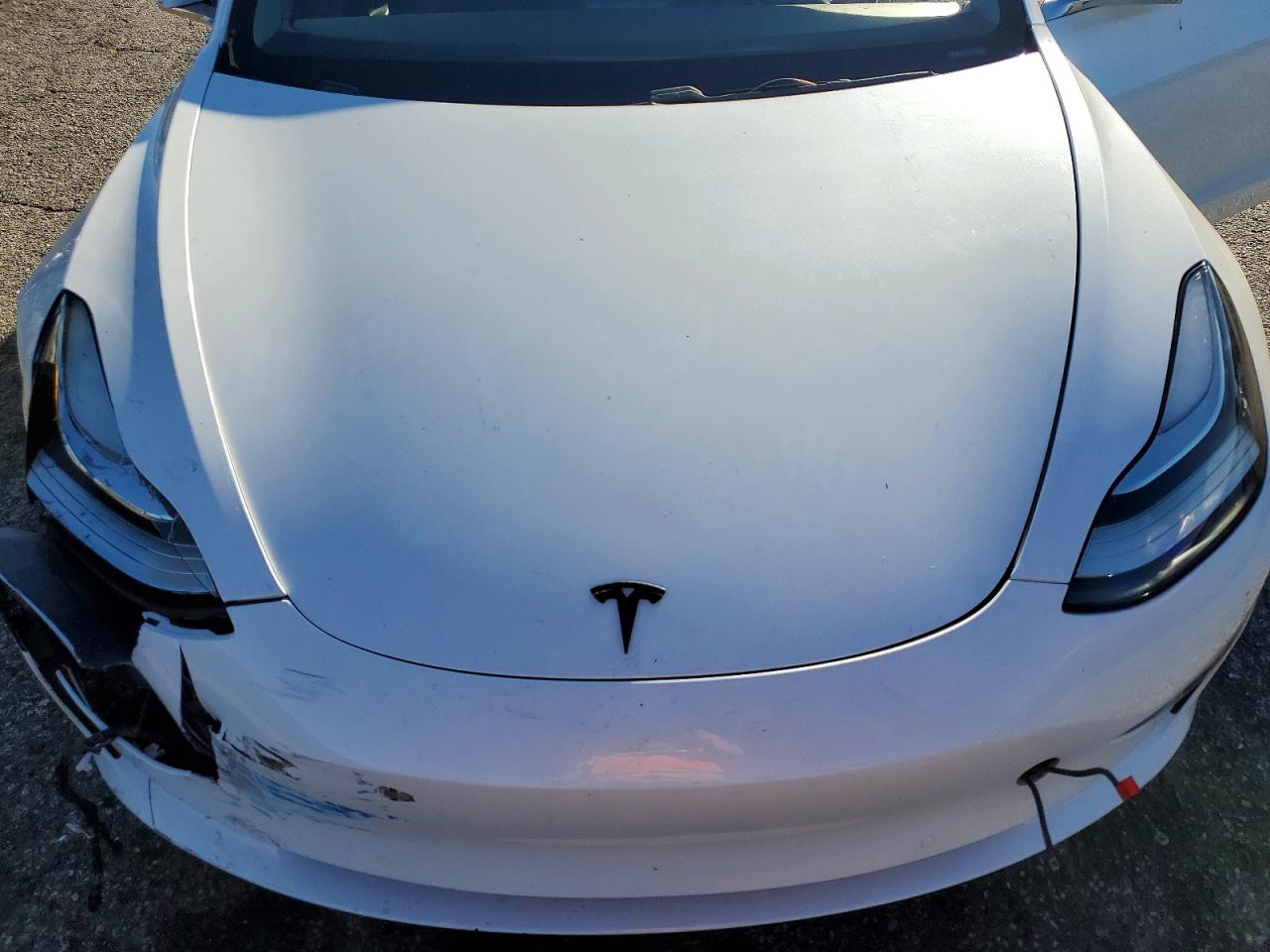 2019 TESLA MODEL 3 photo 11