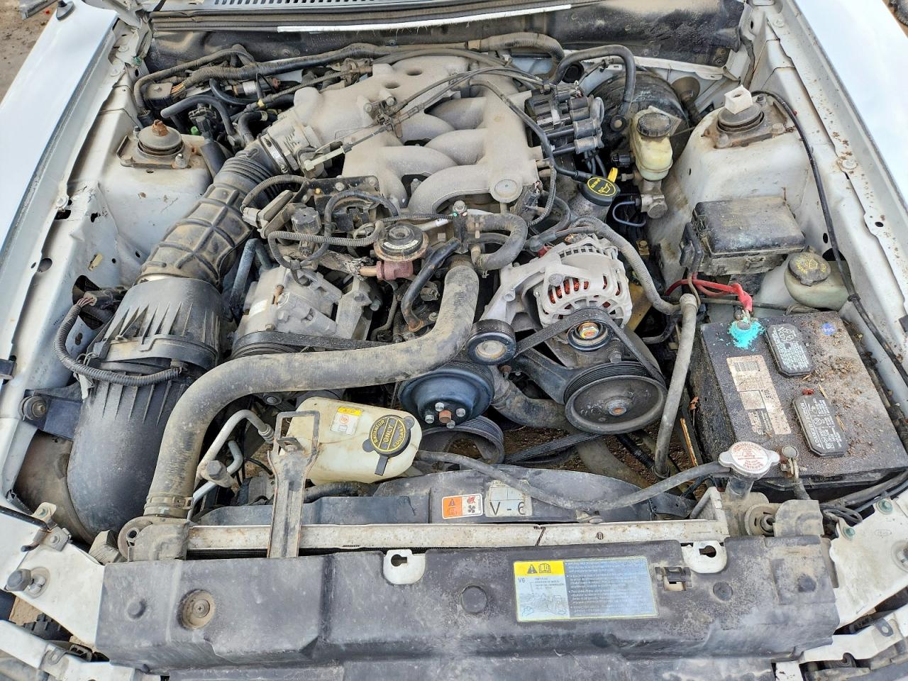 2004 FORD MUSTANG photo 11