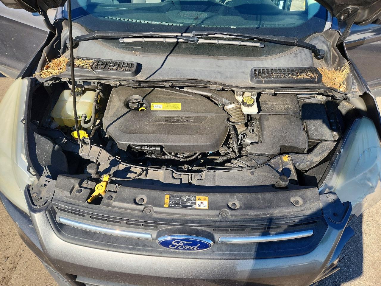 2014 FORD ESCAPE SE photo 12