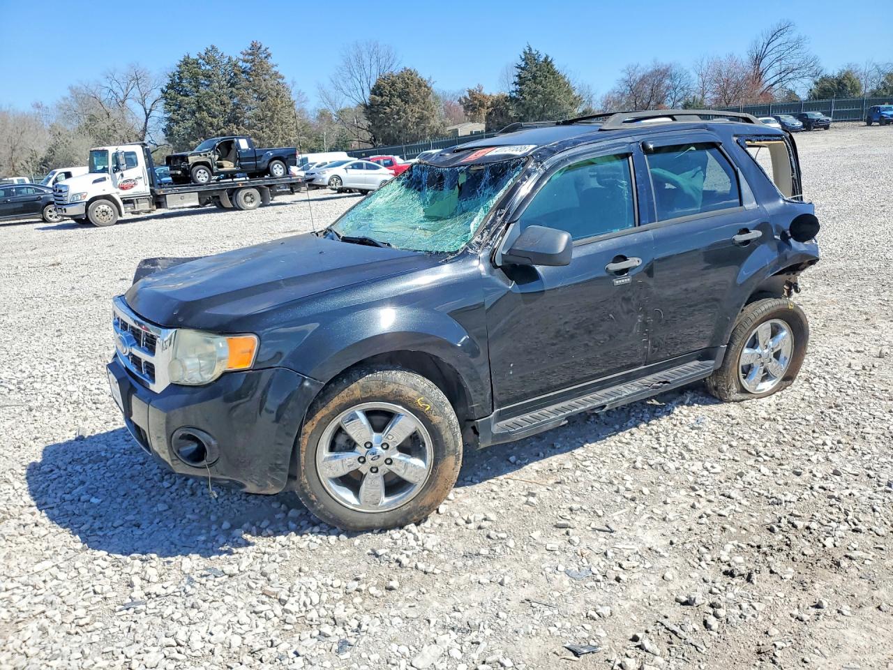 2011 FORD ESCAPE XLT photo 2