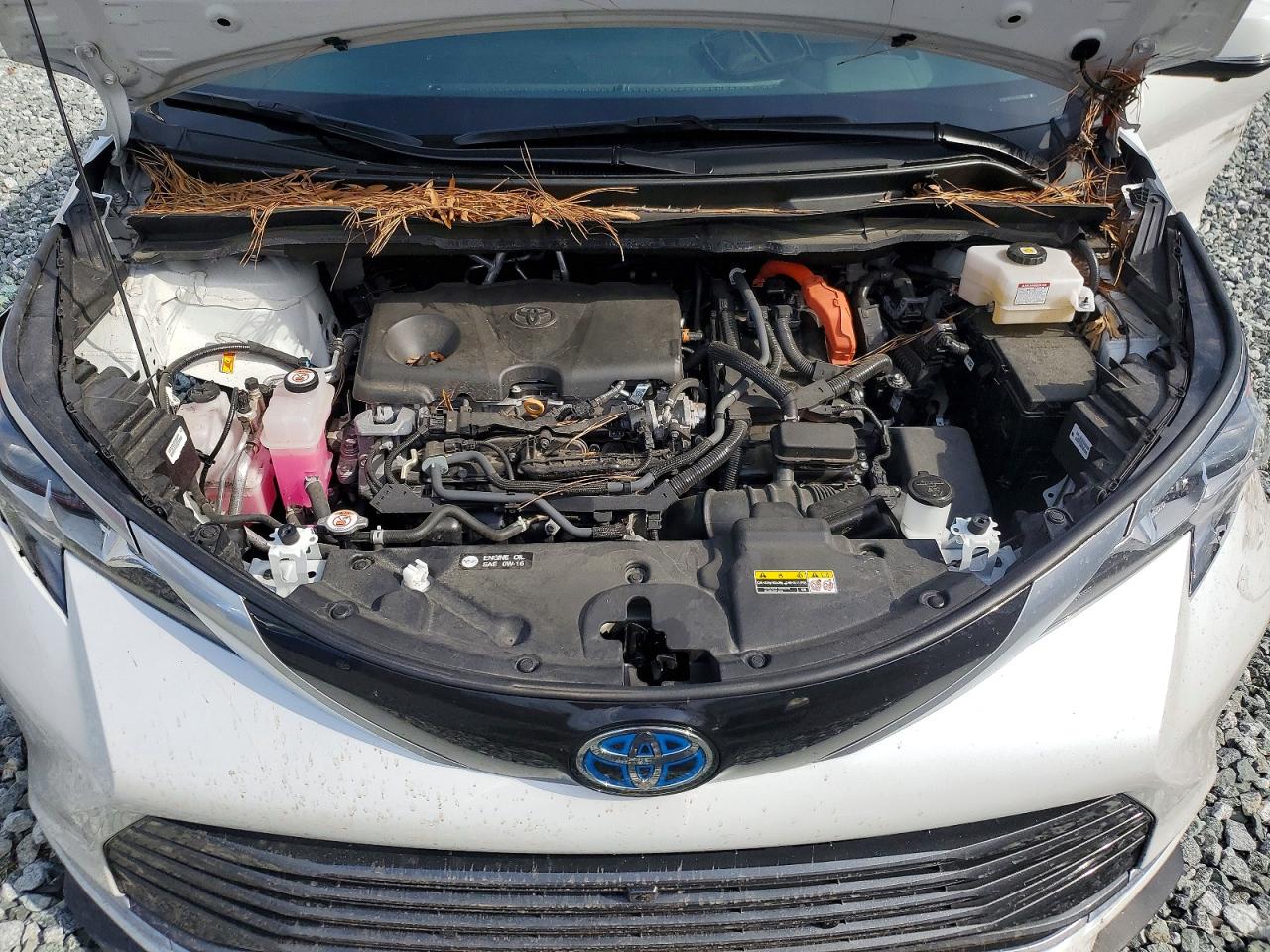 2025 TOYOTA SIENNA photo 12