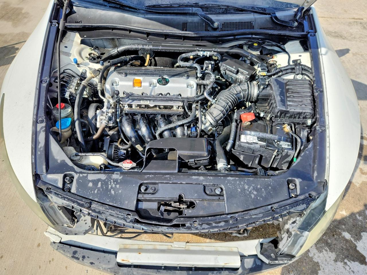 2010 HONDA ACCORD EXL photo 31