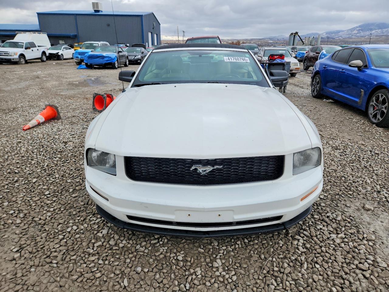 2005 FORD MUSTANG photo 13