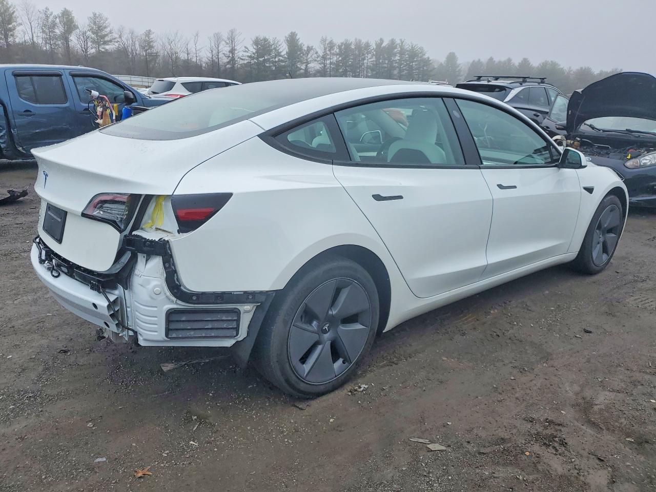 2023 TESLA MODEL 3 photo 5
