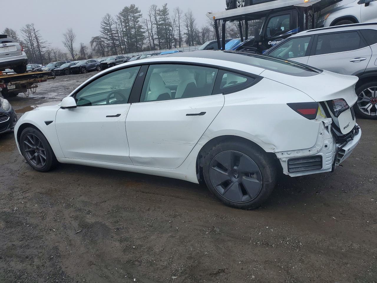 2023 TESLA MODEL 3 photo 3
