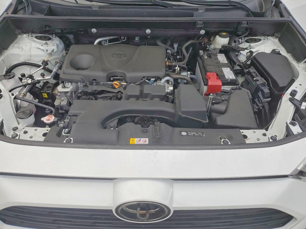 2024 TOYOTA RAV4 LE photo 23