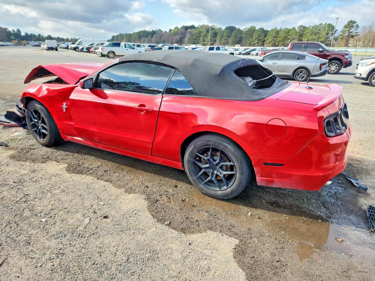 2014 FORD MUSTANG photo 3