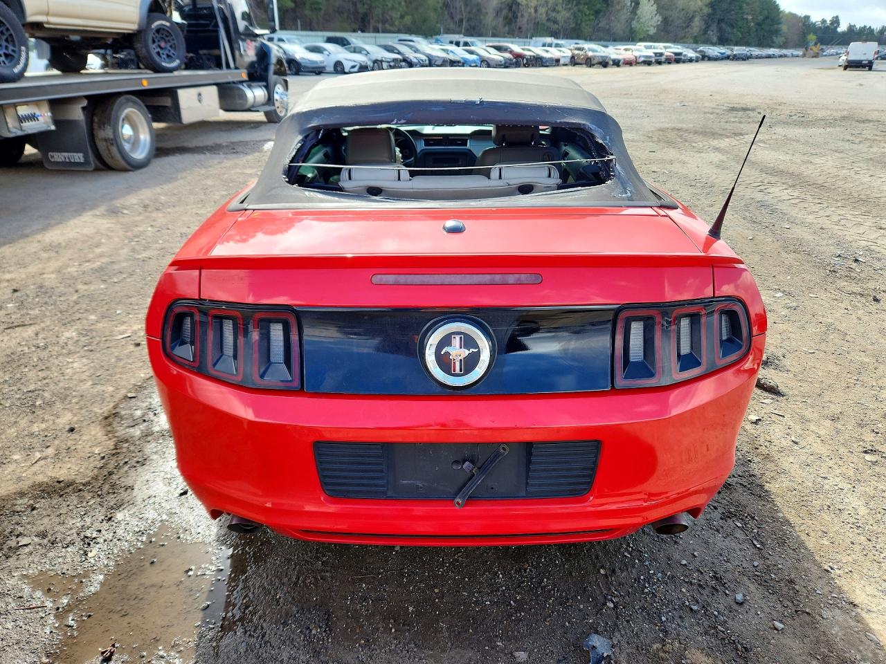 2014 FORD MUSTANG photo 11