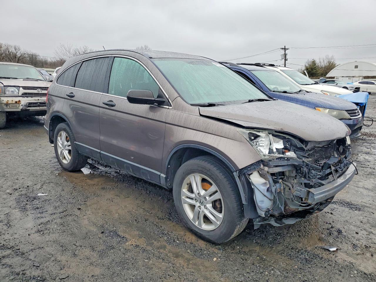 2010 HONDA CR-V EX photo 7