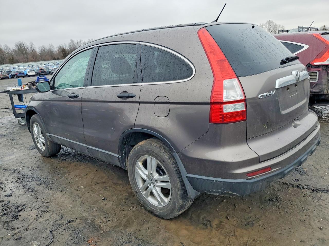 2010 HONDA CR-V EX photo 3