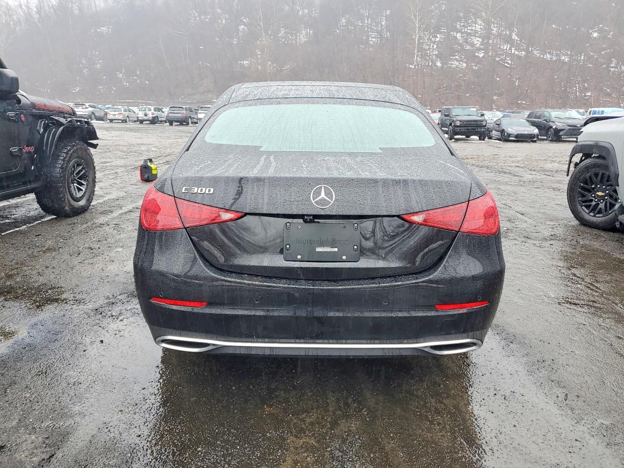 2025 MERCEDES-BENZ C 300 photo 6