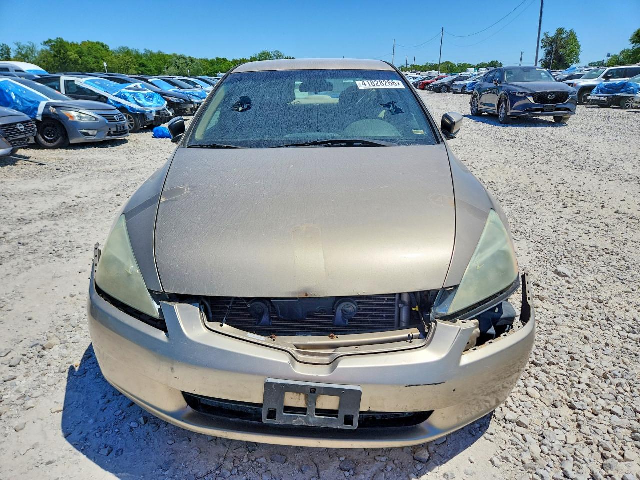 2003 HONDA ACCORD LX photo 13