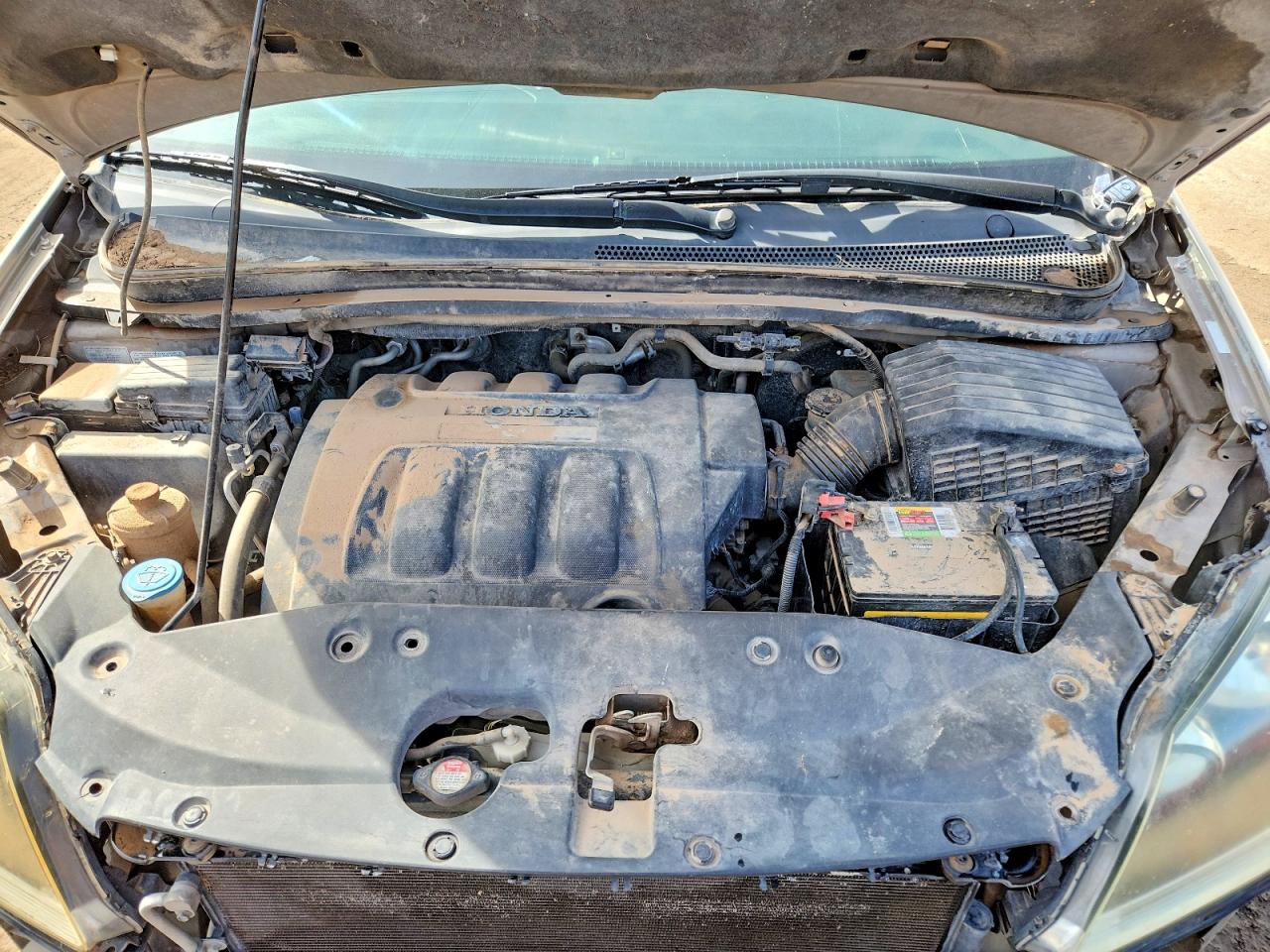 2005 HONDA ODYSSEY EXL photo 12