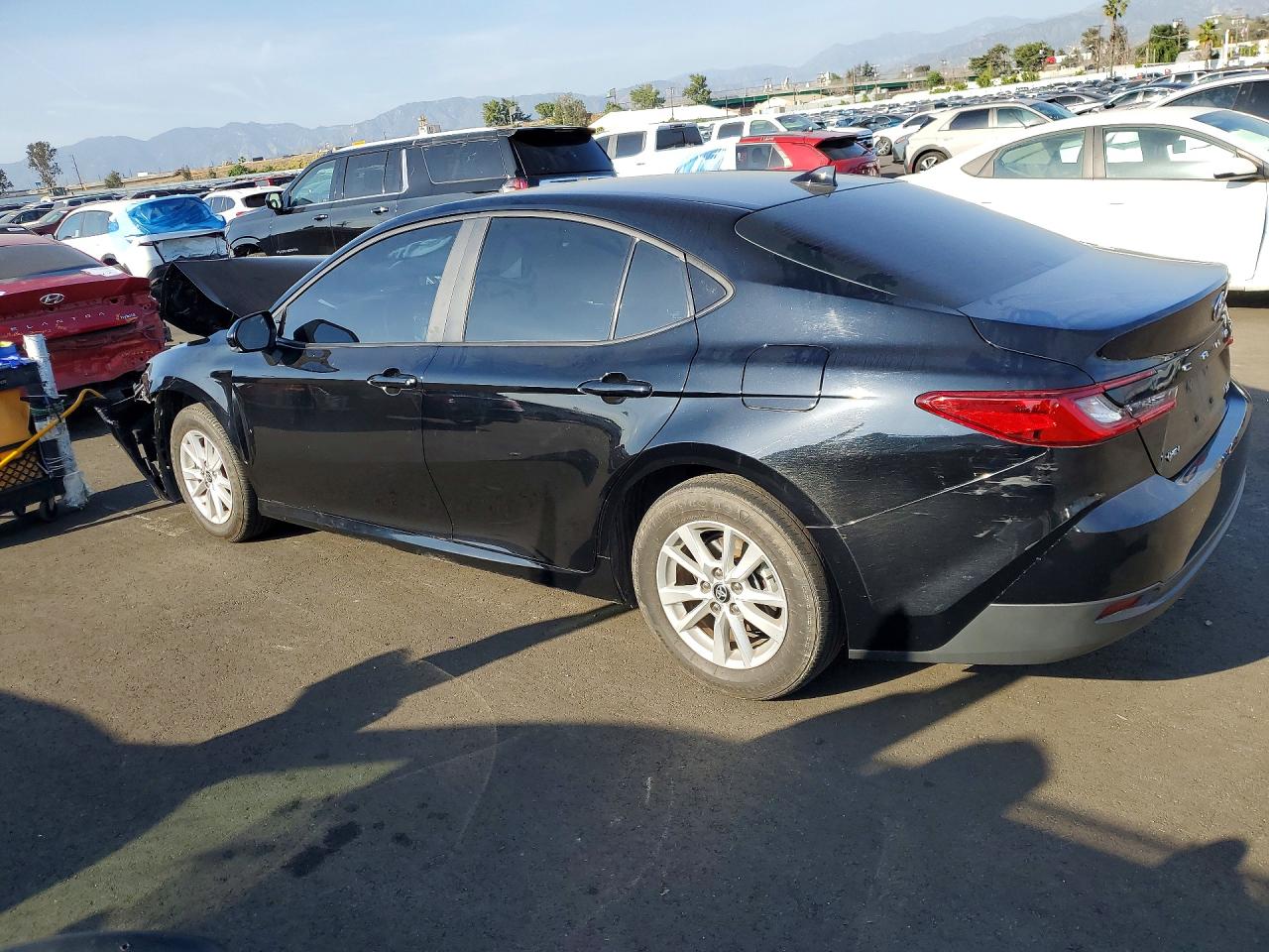 2025 TOYOTA CAMRY LE photo 3